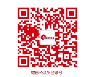 激光微加工：微型電極、模具和滾花輪激光加工